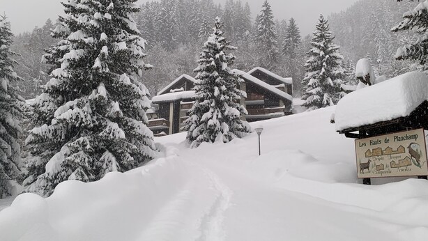 Un chalet enneigé, sur lequel on peut lire une pancarte indiquant « Les Hauts de Planchamp ».