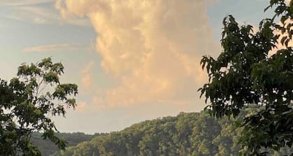 La Soledad Lavender Farm on the Potomac