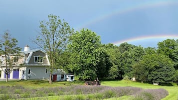 Eksteriør