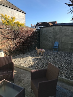 A backyard with a dog, gravel, a wicker chair, and a blue chair.