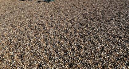 Just a stoneâs throw from the beach