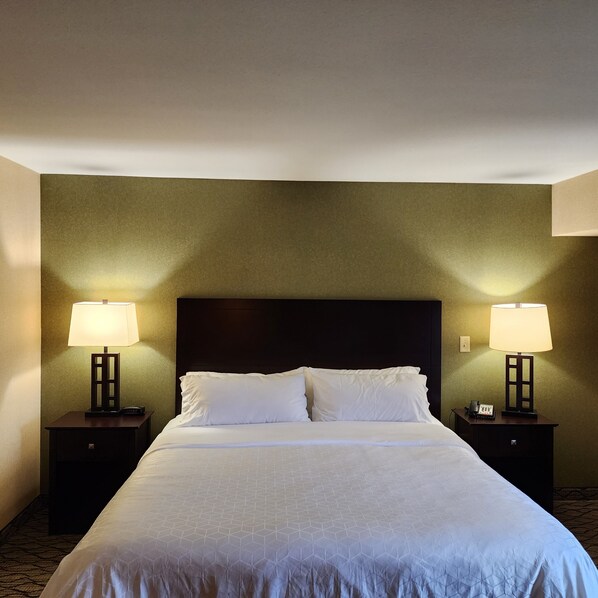 Single Room, 1 Queen Bed