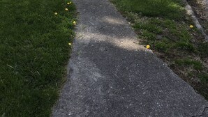 Ein Betonweg führt zu einem weißen Haus mit einem kleinen Garten.