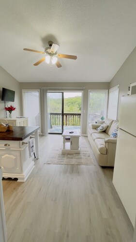 Comfortable and affordable condo in four seasons. Monthly Discount Available.