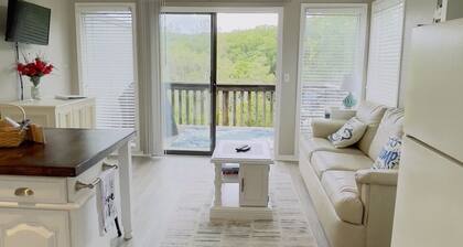 Comfortable and affordable condo in four seasons. Monthly Discount Available.