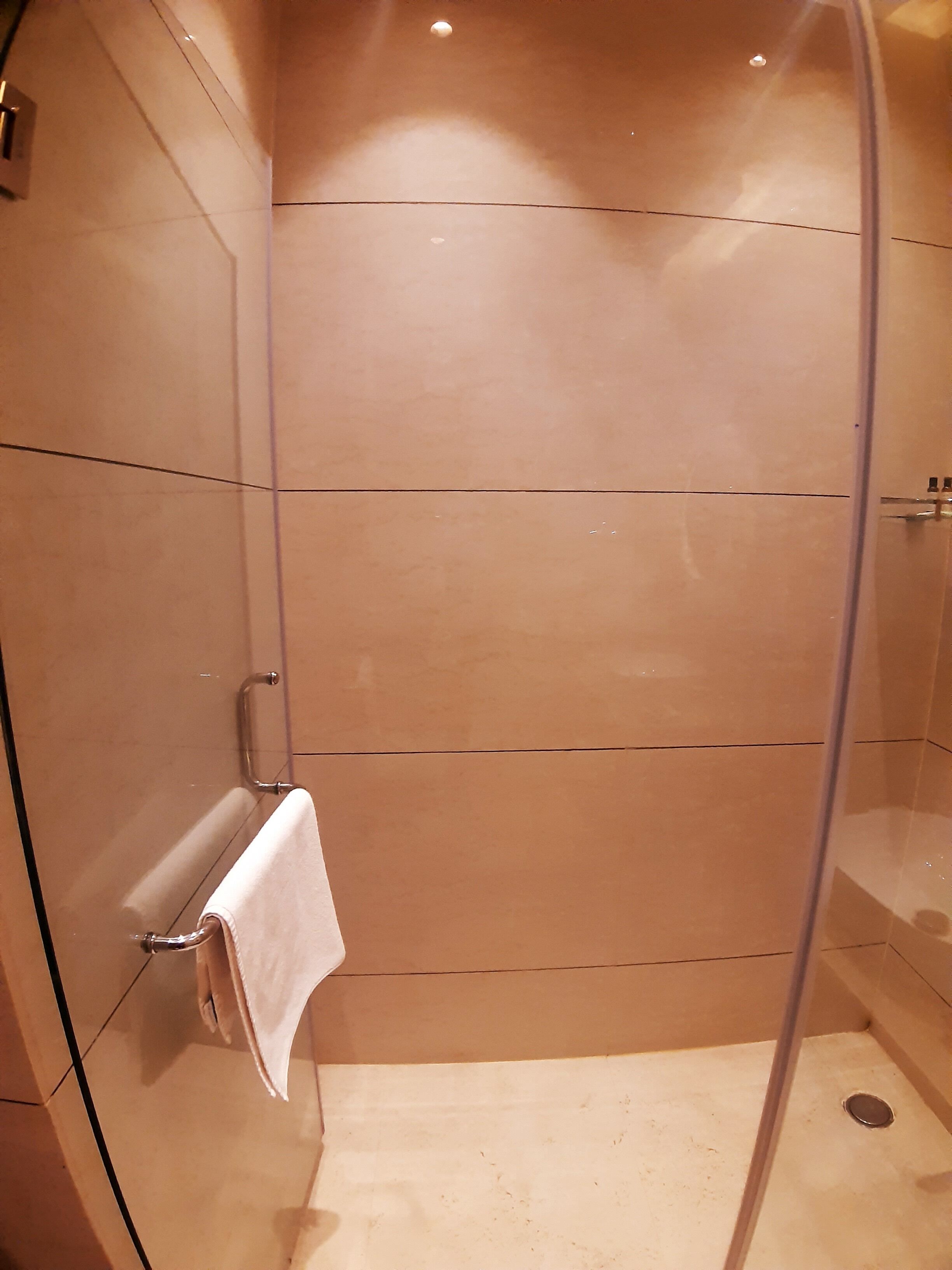 Een douche met glazen deur, een handdoekhouder en een afvoer.