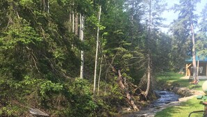 A natural stream with rocks and trees, a picnic table, and a building in the background. - Whitetail Creek Camping Resort (Lead)