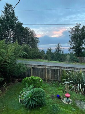Property grounds - Ocean Cottage (Shelter Cove)