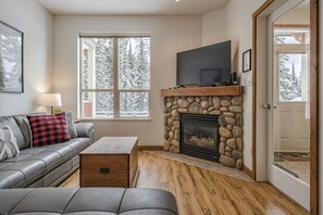 Televisión, chimenea y libros 