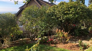 Una casa circondata da un giardino curato, ricco di piante e fiori.