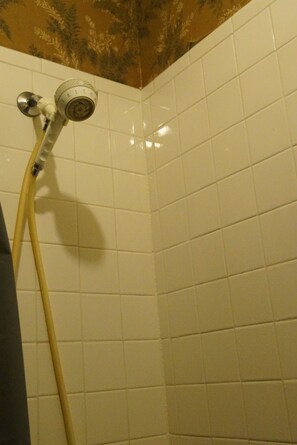 Combined shower/tub