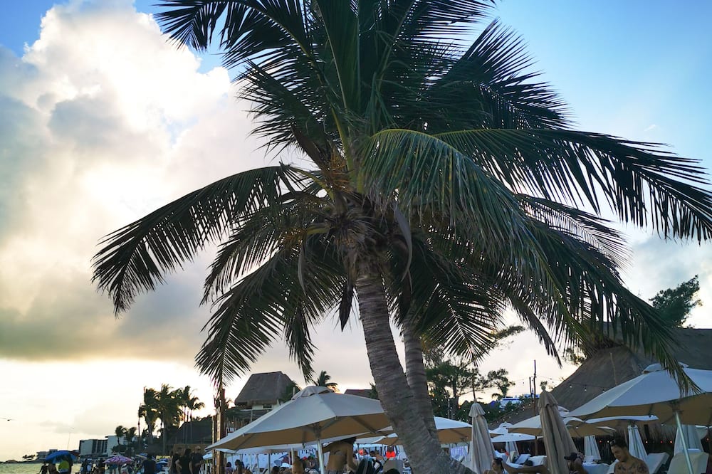 Ocean Front Boutique