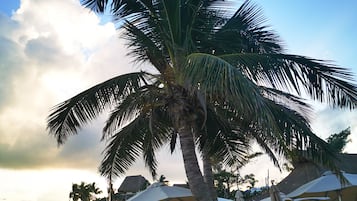 Playa en los alrededores y playa de arena blanca
