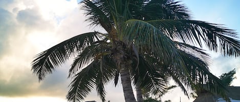 Playa en los alrededores y playa de arena blanca