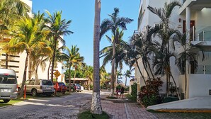A paved walkway lined with palm trees and modern buildings. - Ocean Front Boutique (Playa del Carmen)