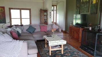 Smart TV, fireplace, books