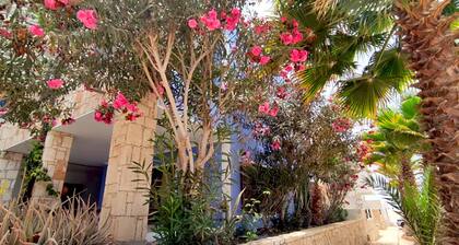 Ca' Greta. A minutes steps from one of the best beach of Sal Rei, Praia Estoril.