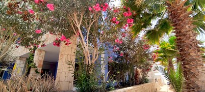 Ca' Greta. A minutes steps from one of the best beach of Sal Rei, Praia Estoril.