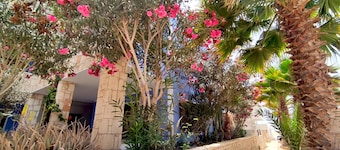 Ca' Greta. A minutes steps from one of the best beach of Sal Rei, Praia Estoril.