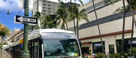 A bus with a "ONE WAY" sign, a building with a "MONSTER" sign, and palm trees.