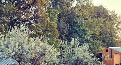 The World of Echozellia - Loft A