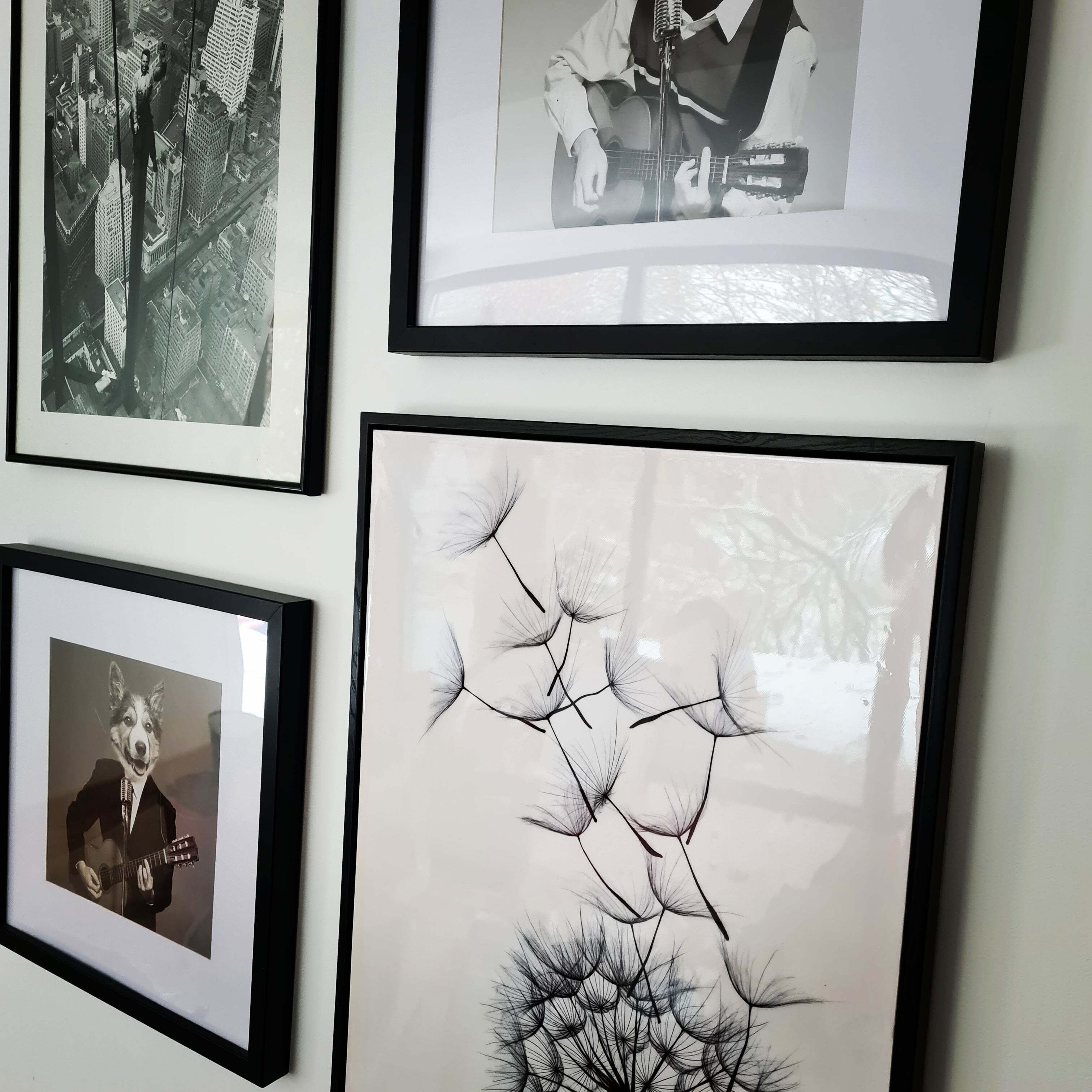 A wall with four framed pictures: a cityscape, a musician, a dog, and a dandelion.