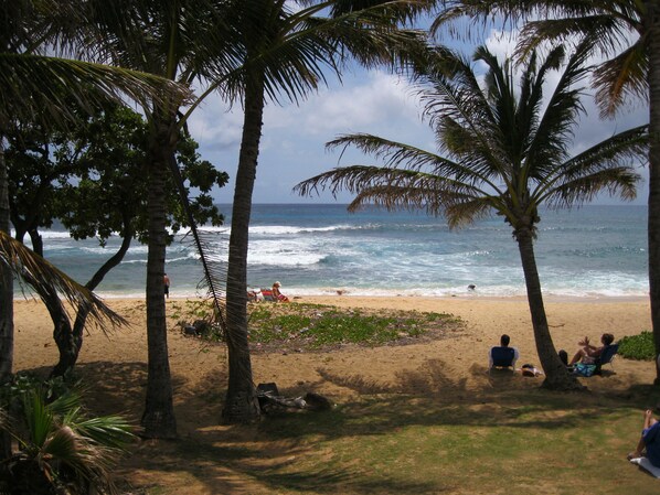 Playa en los alrededores 