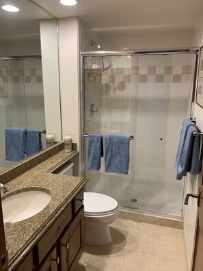 Combined shower/tub, hair dryer, bidet, towels