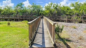 A wooden boardwalk leading through a natural area with dense vegetation and a clear sky.