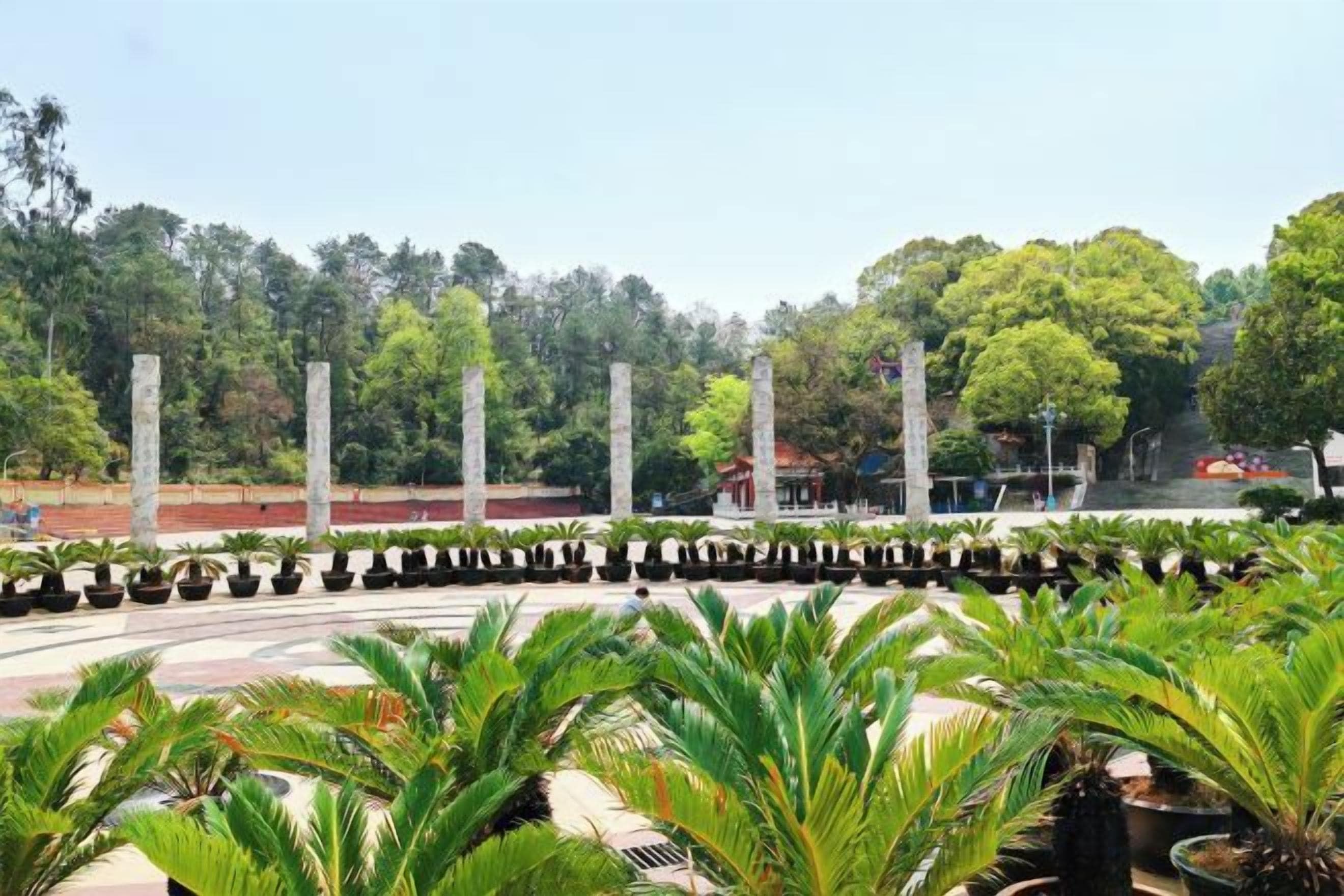 Un'area verde con palme, un vialetto lastricato e una fila di colonne alte e slanciate.
