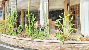 A modern building with large windows and a cactus garden in front. - Yizhang Fuhao Hotel (Yizhang)