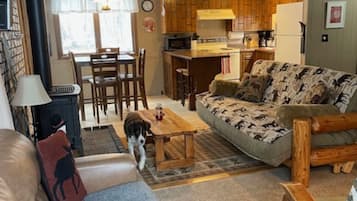 TV, DVD player, books, video library