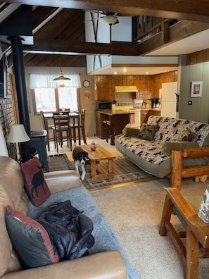 TV, DVD player, books, video library