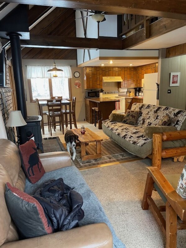 TV, DVD player, books, video library