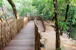 Área da propriedade