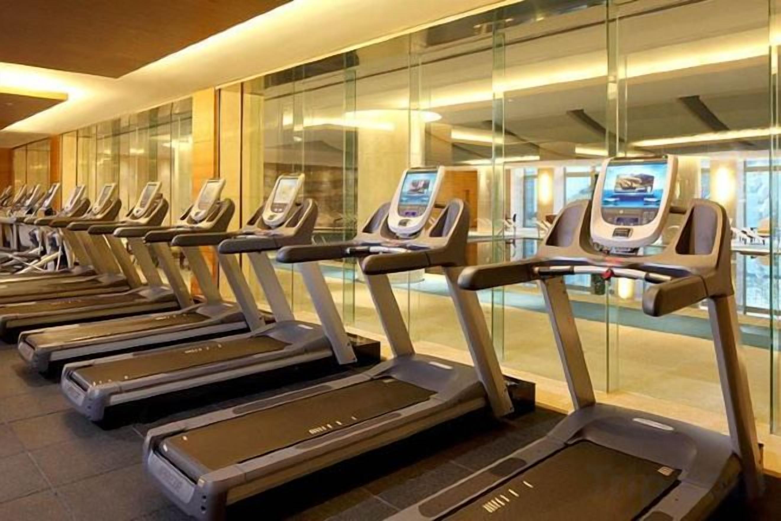 A row of treadmills in a gym with a glass wall and a view of the outside.