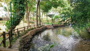 Un pequeño elemento acuático natural con un puente de madera y muros de piedra, rodeado de abundante vegetación.