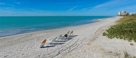Plage à proximité, chaises longues, serviettes de plage