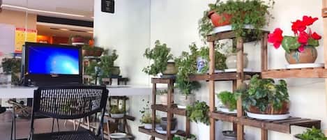 Una habitación con escritorio, silla, estanterías con plantas en macetas y televisor.