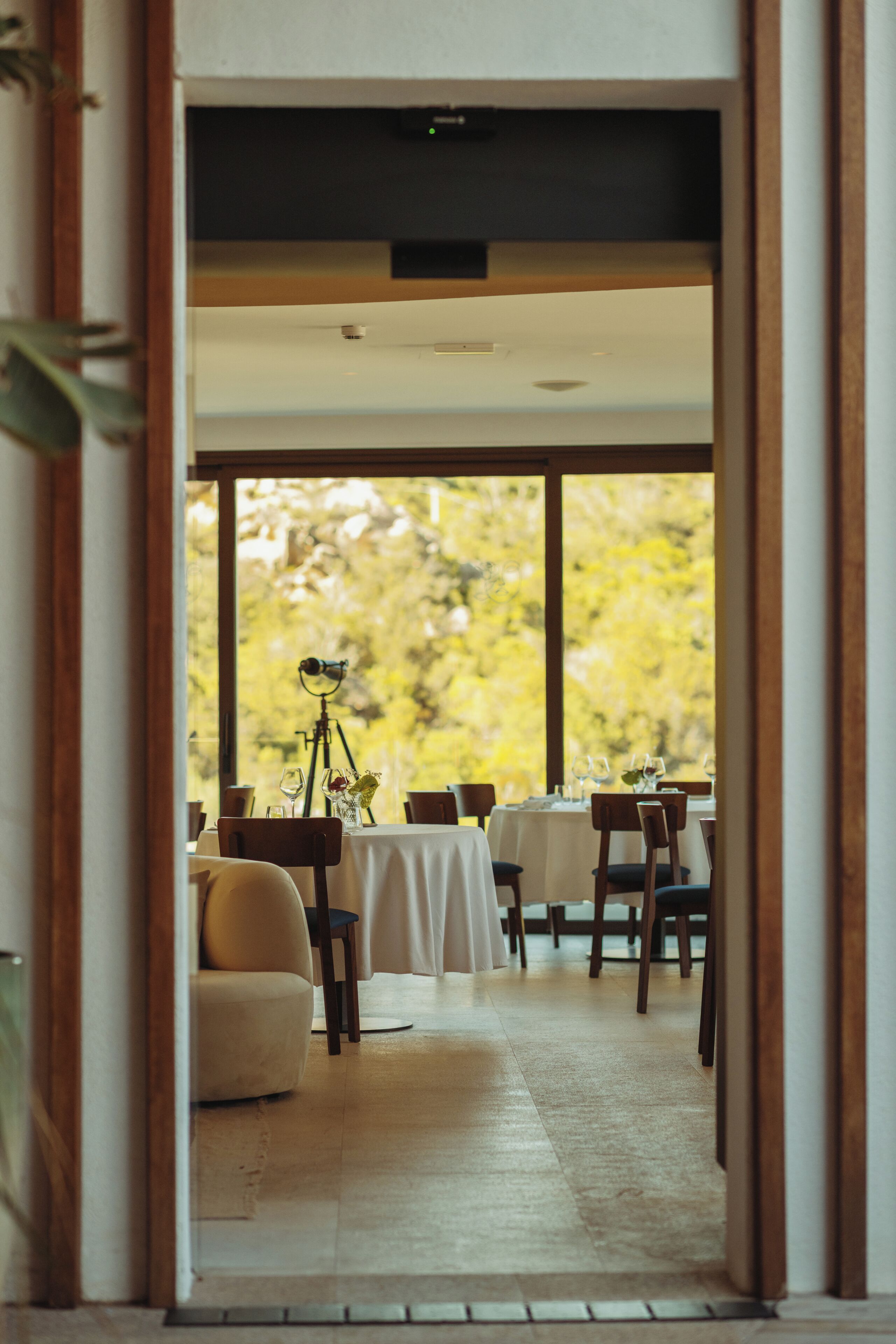 Un comedor interior con mesas y sillas, un trípode y vistas a árboles a través de amplios ventanales.