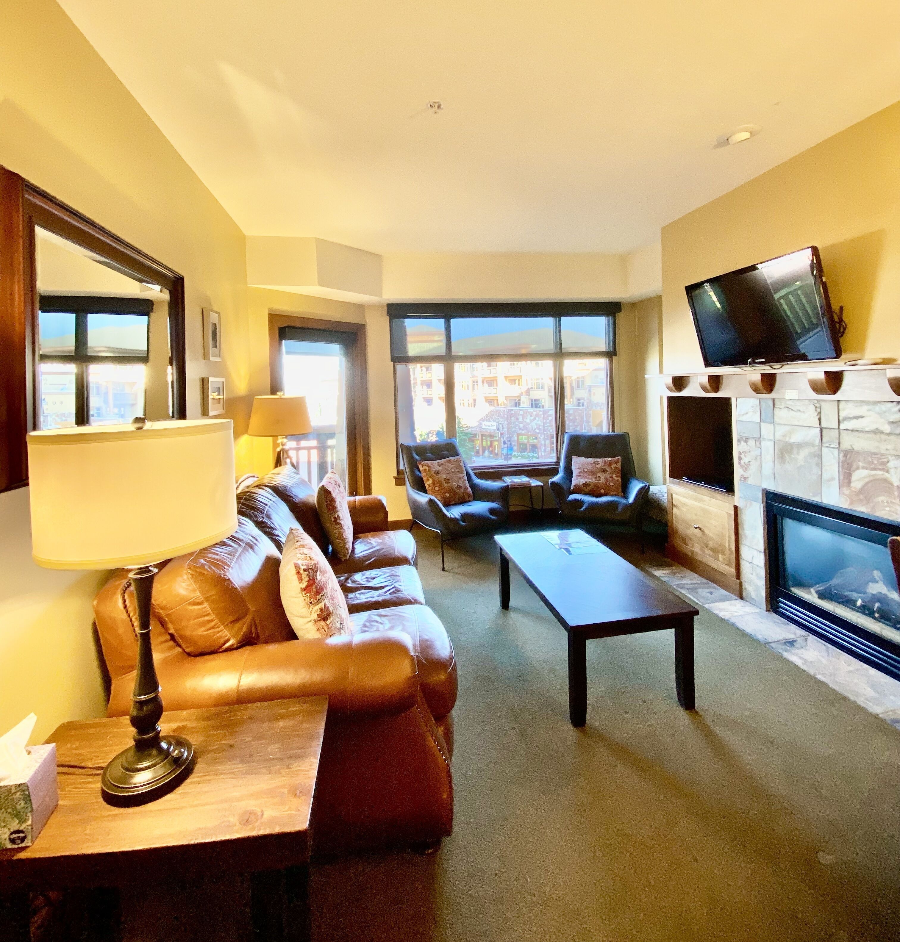 Smart TV, fireplace, DVD player, books