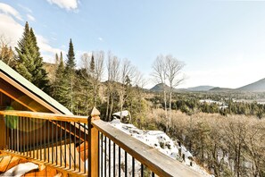Property grounds - Log House - Sauna - View on Mont-Tremblant (Lac-Supérieur)
