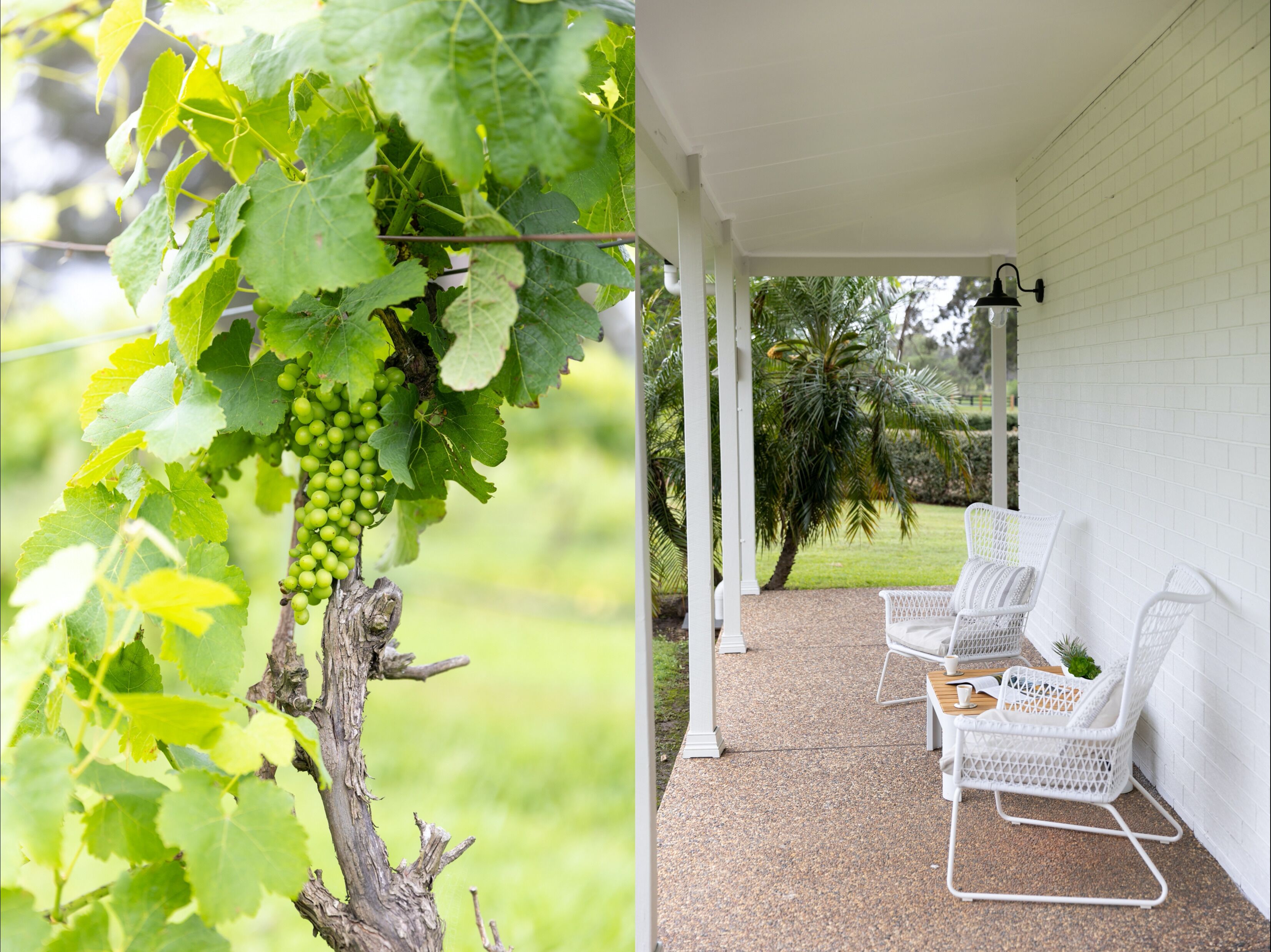 Jones Estate - Lovedale Hunter Valley — image 27