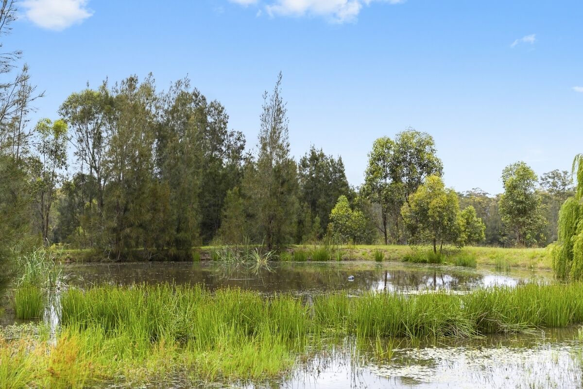 Jones Estate - Lovedale Hunter Valley — image 28