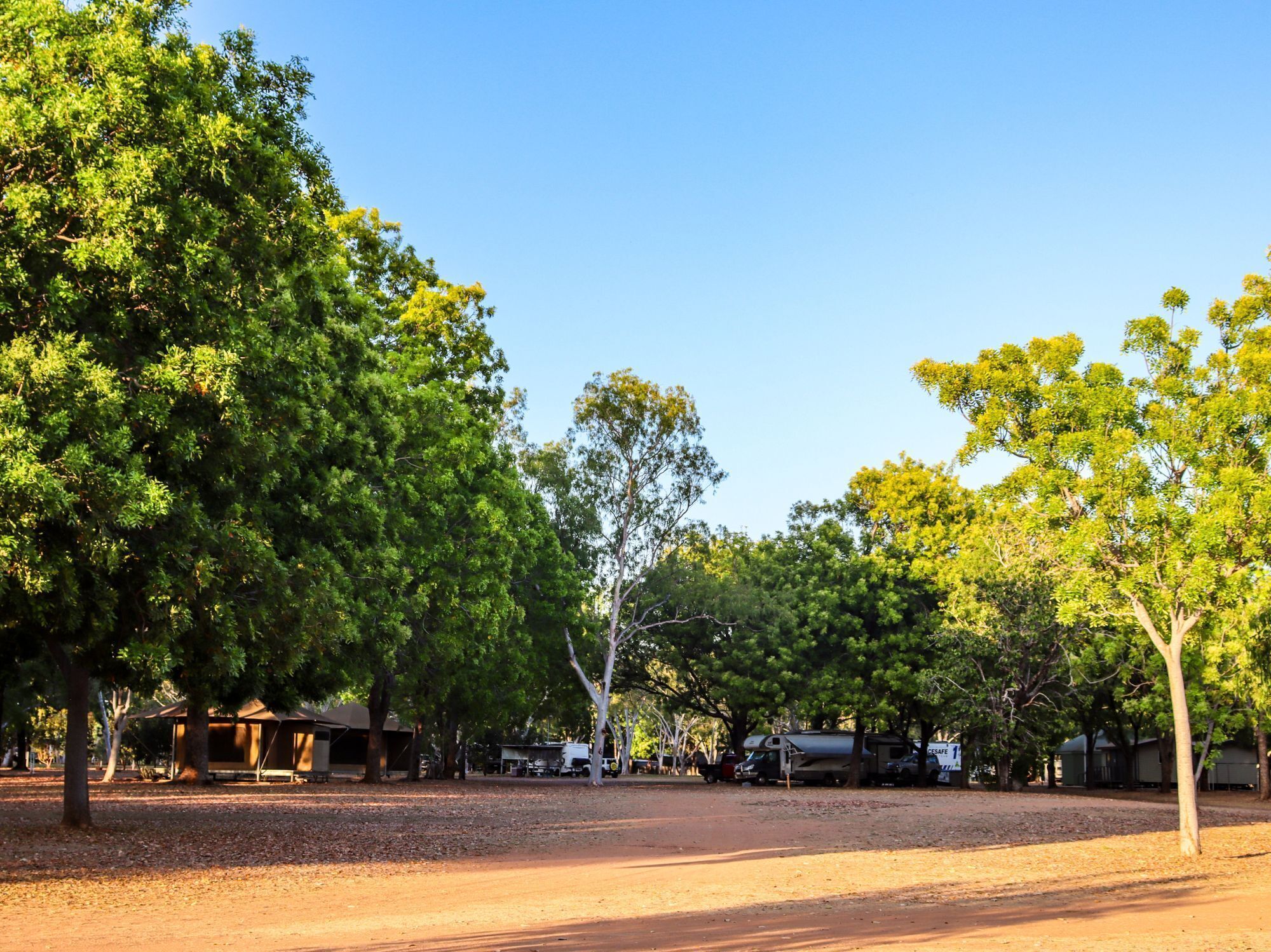 A campsite with tents and RVs, surrounded by trees.