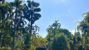A swimming pool surrounded by palm trees and a small building, likely a poolside bar or lounge area.