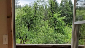 A wooden deck with picnic tables and a view of a green forest. - Cottage #2 with a Lake and Creek, 15 mi to Lassen NP (Shingletown)