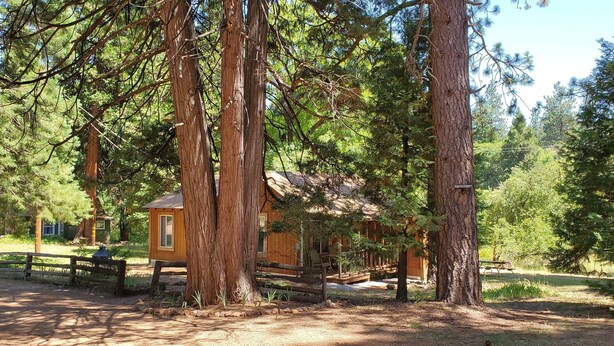 A rustic cabin surrounded by tall trees in a forest setting. - Cottage #2 with a Lake and Creek, 15 mi to Lassen NP (Shingletown)
