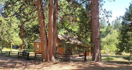Cottage #2 with a Lake and Creek, 15 mi to Lassen NP