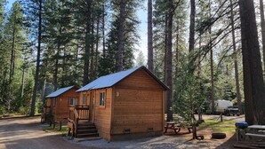 Dos cabañas de madera con un camino de grava y mesas de picnic en un camping arbolado.